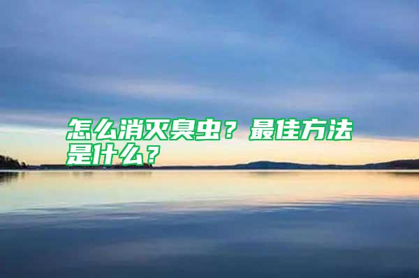 怎么消滅臭蟲?最佳方法是什么?