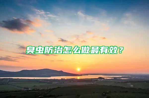 臭蟲防治怎么做最有效？