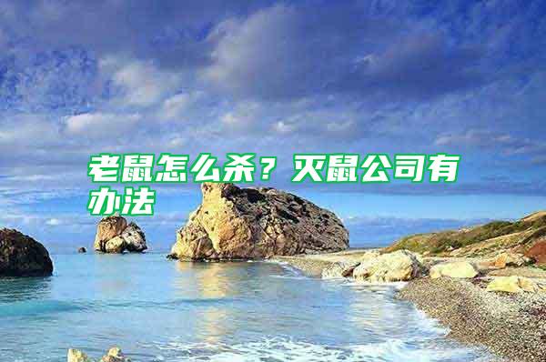 老鼠怎么殺?滅鼠公司有辦法