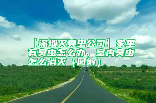 【深圳滅臭蟲公司】家里有臭蟲怎么辦,室內臭蟲怎么消滅(圖解)