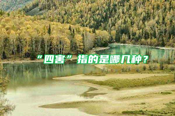 “四害”指的是哪幾種？