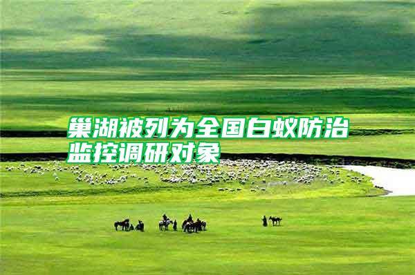 巢湖被列為全國白蟻防治監控調研對象