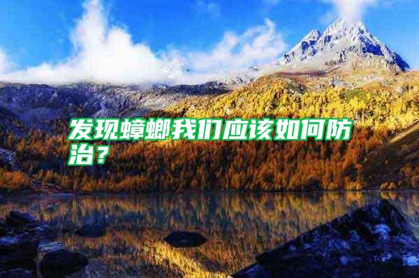 發(fā)現(xiàn)蟑螂我們應(yīng)該如何防治？