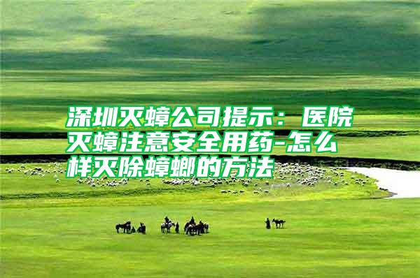 深圳滅蟑公司提示：醫(yī)院滅蟑注意安全用藥-怎么樣滅除蟑螂的方法