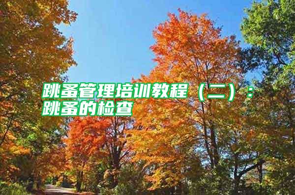 跳蚤管理培訓教程（二）：跳蚤的檢查