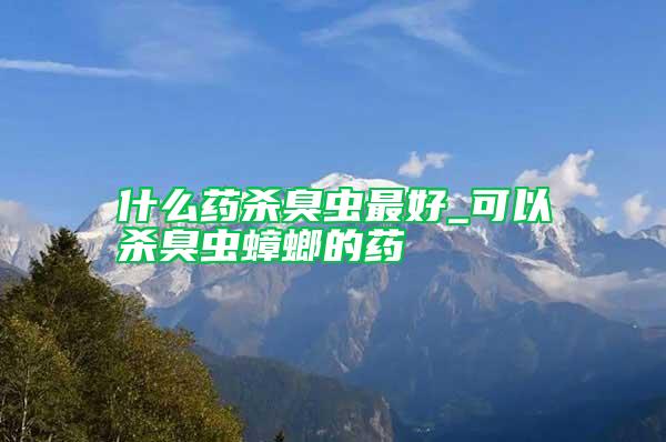 什么藥殺臭蟲最好_可以殺臭蟲蟑螂的藥