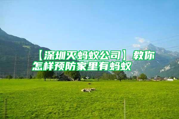 【深圳滅螞蟻公司】教你怎樣預防家里有螞蟻