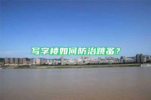 寫字樓如何防治跳蚤？
