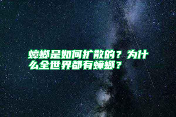 蟑螂是如何擴散的?為什么全世界都有蟑螂?