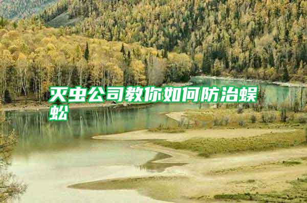 滅蟲公司教你如何防治蜈蚣