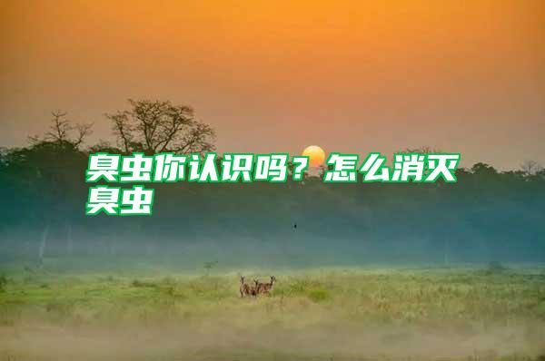 臭蟲(chóng)你認(rèn)識(shí)嗎？怎么消滅臭蟲(chóng)