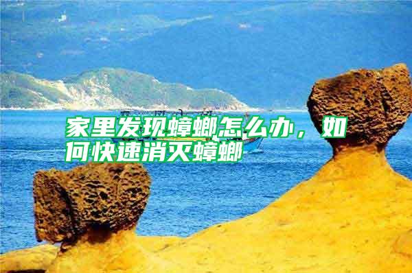 家里發(fā)現(xiàn)蟑螂怎么辦,如何快速消滅蟑螂