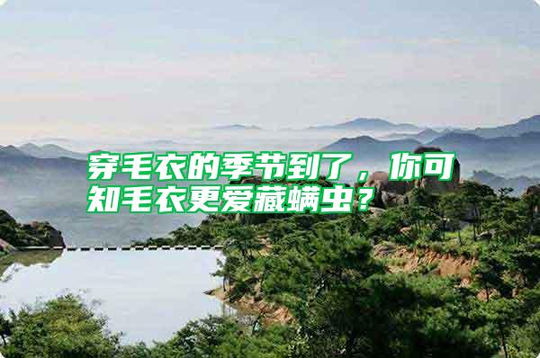 穿毛衣的季節到了,你可知毛衣更愛藏螨蟲?