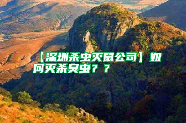 【深圳殺蟲滅鼠公司】如何滅殺臭蟲？？