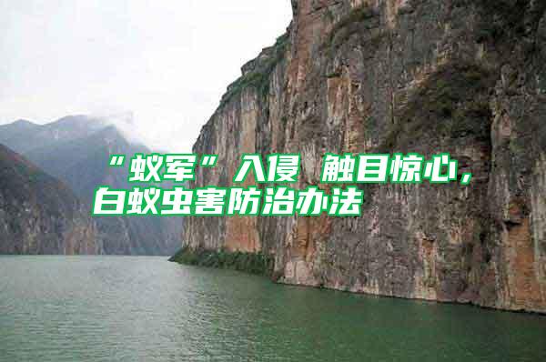 “蟻軍”入侵 觸目驚心,白蟻蟲害防治辦法