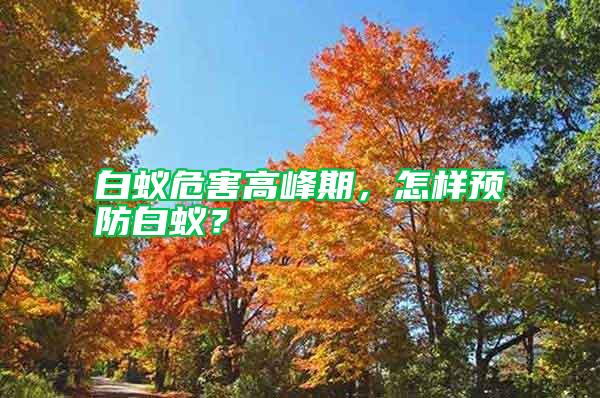 白蟻危害高峰期，怎樣預防白蟻？