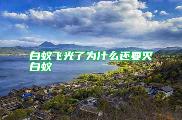 白蟻飛光了為什么還要滅白蟻