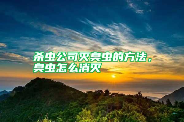 殺蟲公司滅臭蟲的方法,臭蟲怎么消滅