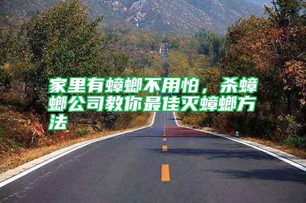 家里有蟑螂不用怕,殺蟑螂公司教你最佳滅蟑螂方法
