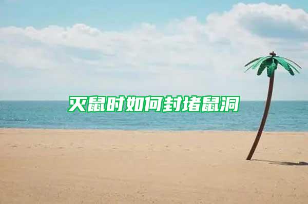 滅鼠時如何封堵鼠洞