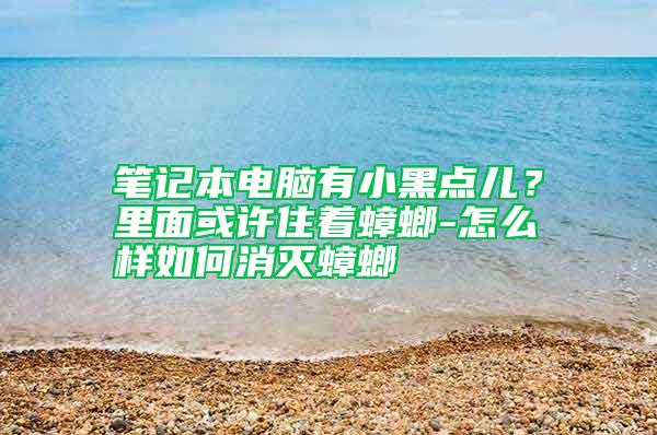 筆記本電腦有小黑點兒？里面或許住著蟑螂-怎么樣如何消滅蟑螂