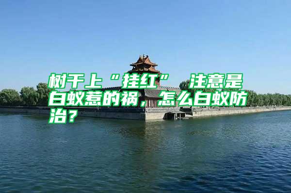 樹干上“掛紅” 注意是白蟻惹的禍,怎么白蟻防治?