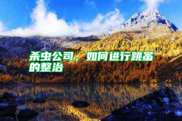 殺蟲公司,如何進(jìn)行跳蚤的整治