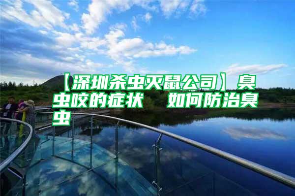 【深圳殺蟲滅鼠公司】臭蟲咬的癥狀 如何防治臭蟲