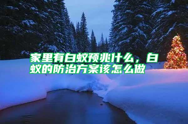 家里有白蟻預(yù)兆什么，白蟻的防治方案該怎么做