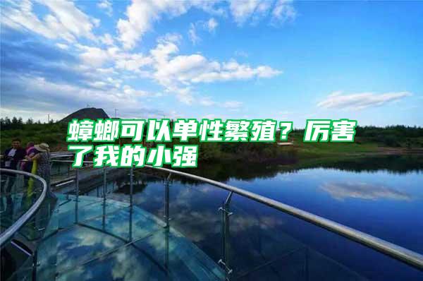 蟑螂可以單性繁殖?厲害了我的小強
