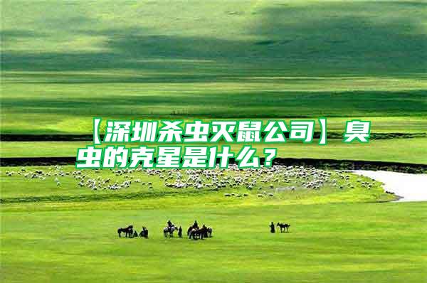 【深圳殺蟲滅鼠公司】臭蟲的克星是什么?