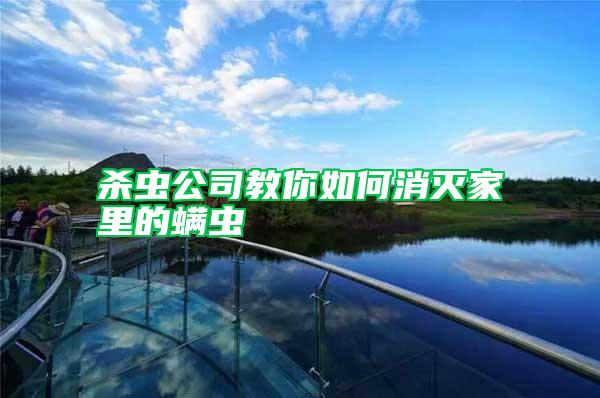 殺蟲(chóng)公司教你如何消滅家里的螨蟲(chóng)