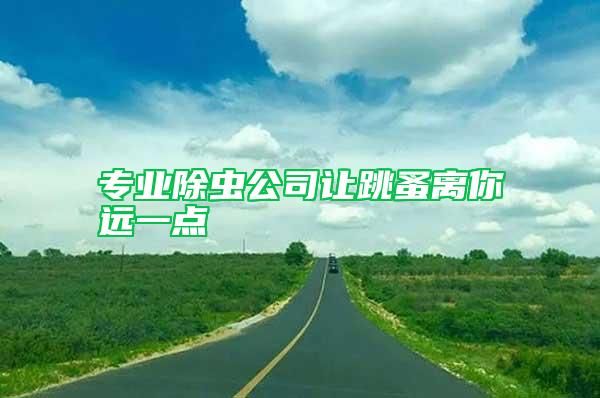 專業除蟲公司讓跳蚤離你遠一點