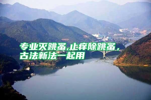 專業(yè)滅跳蚤,止癢除跳蚤， 古法新法一起用