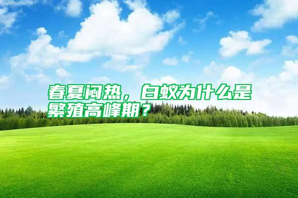 春夏悶熱，白蟻為什么是繁殖高峰期？