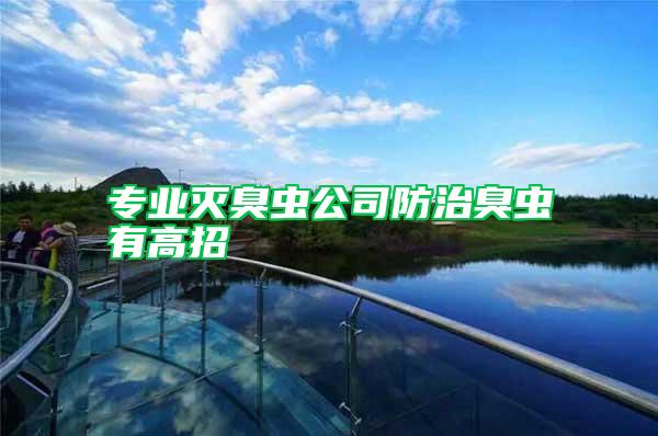 專(zhuān)業(yè)滅臭蟲(chóng)公司防治臭蟲(chóng)有高招