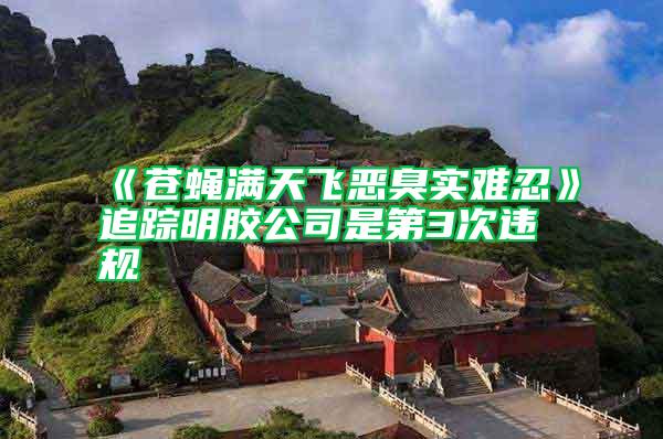 《蒼蠅滿天飛惡臭實(shí)難忍》追蹤明膠公司是第3次違規(guī)