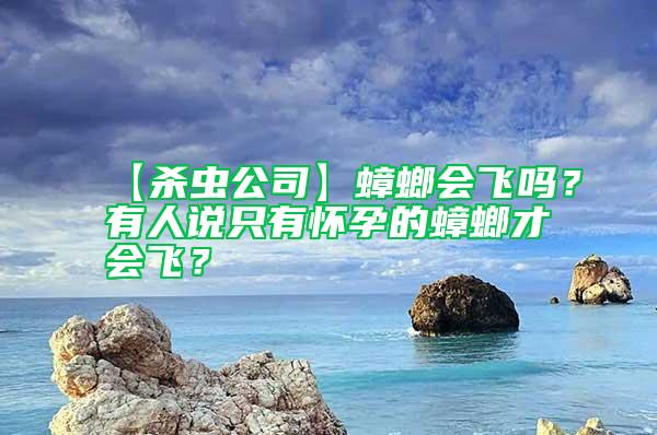 【殺蟲公司】蟑螂會(huì)飛嗎？有人說只有懷孕的蟑螂才會(huì)飛？