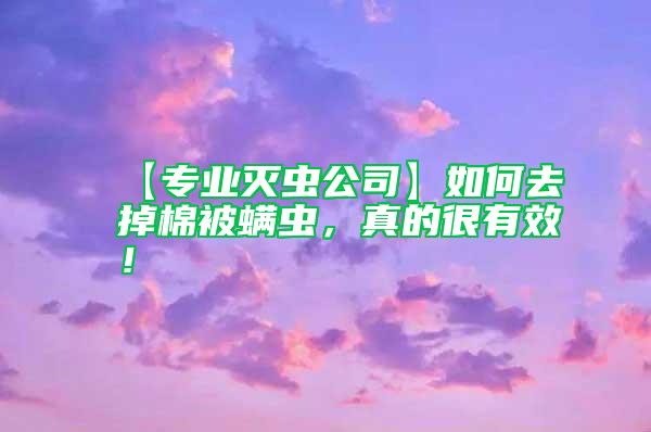 【專業(yè)滅蟲公司】如何去掉棉被螨蟲，真的很有效！