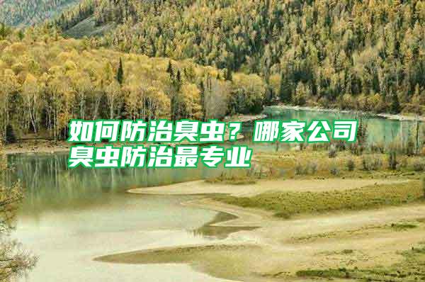 如何防治臭蟲？哪家公司臭蟲防治最專業
