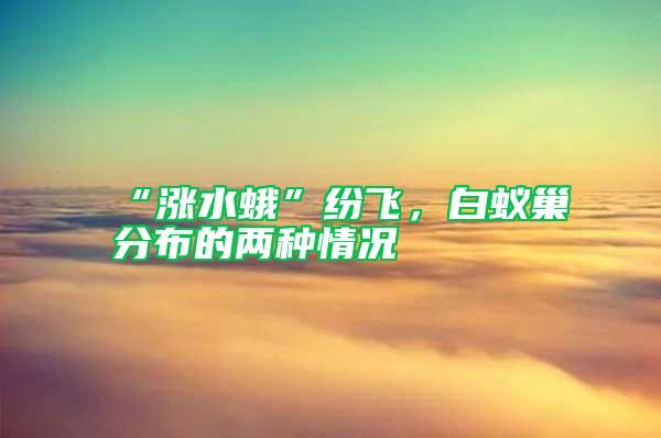 “漲水蛾”紛飛,白蟻巢分布的兩種情況