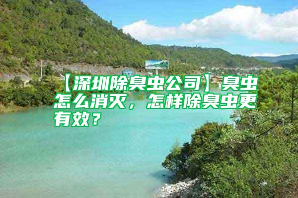 【深圳除臭蟲公司】臭蟲怎么消滅,怎樣除臭蟲更有效?
