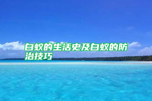 白蟻的生活史及白蟻的防治技巧