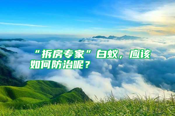“拆房專家”白蟻，應該如何防治呢？