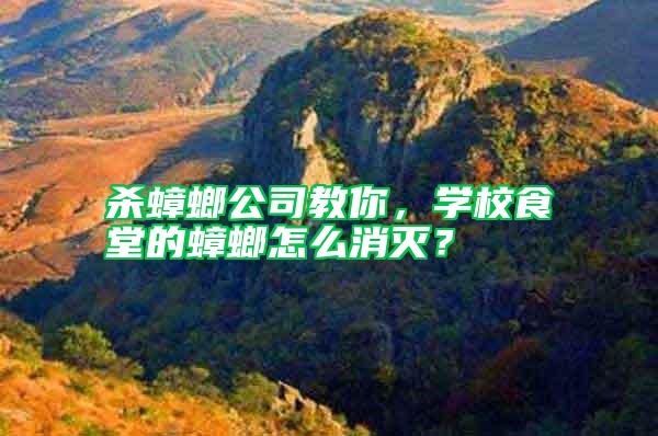 殺蟑螂公司教你,學(xué)校食堂的蟑螂怎么消滅?