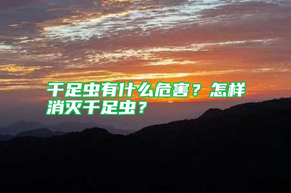 千足蟲(chóng)有什么危害?怎樣消滅千足蟲(chóng)?