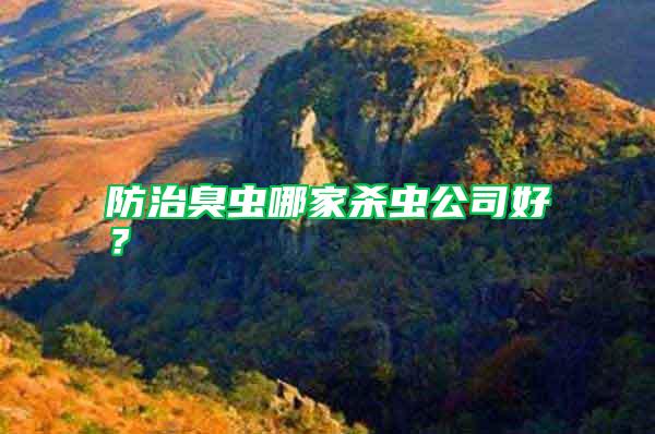 防治臭蟲哪家殺蟲公司好？
