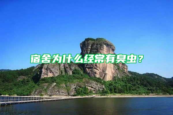 宿舍為什么經常有臭蟲?