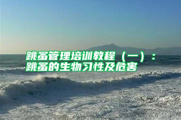 跳蚤管理培訓教程(一):跳蚤的生物習性及危害