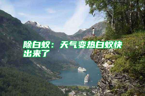 除白蟻:天氣變熱白蟻快出來了